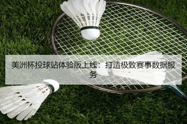 美洲杯投球站体验版上线：打造极致赛事数据服务